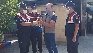 Jandarma’nın Doğa ve Hayvan Sevgisi Takdir Topladı