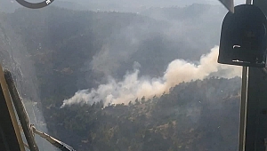 Kahramanmaraş’ta Orman Yangını
