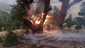 Kahramanmaraş’ta Ormanlık Alanda Yaşayan Vatandaşlardan Yıldırım Nöbeti