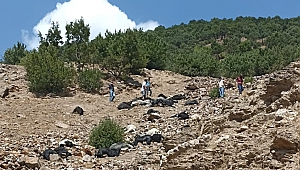 Kahramanmaraş´Ta Yıldırım Düşmesi Sonucu 45 Keçi Telef Oldu