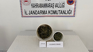 Afşin’de uyuşturucu operasyonu