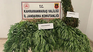 Kahramanmaraş’ta Uyuşturucu Operasyonu: 1 Gözaltı