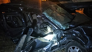 Kahramanmaraş’ta Yük Treni Hafif Ticari Aracı Biçti: 3 Yaralı