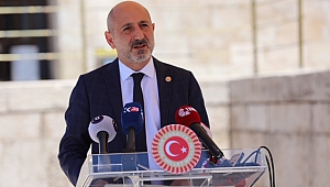 Öztunç’tan Asırlık Çınarların Katledilmesine Tepki
