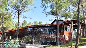 Heyecan Kafe Adrenalin Tutkunlarının Hizmetinde
