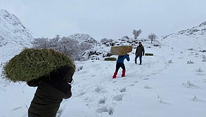 Kahramanmaraş’ta Yaban Hayvanları İçin Doğaya Yem Bırakıldı