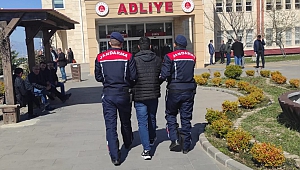 26 Yıl Hapis Cezasıyla Aranıyordu Orman Yolunda Enselendi