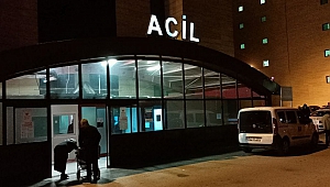 Eşinin Ardından Kocası da Yaşam Mücadelesini Kaybetti