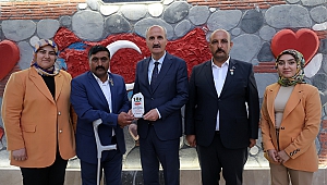 Baba, Sevdiklerini Saran Ulu Bir Çınardır
