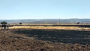 Kahramanmaraş’ta 8 Dönüm Buğday Tarlası Yandı