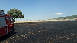 Kahramanmaraş’ta Buğday Tarlası Kül Oldu