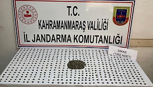 Türkoğlu’nda Otomobilde Roma Dönemine Ait Tarihi Eser Bulundu