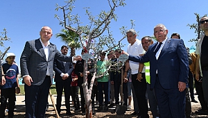 251 şehidin isimleri 251 fidanla EXPO 2023’de ölümsüzleştirildi