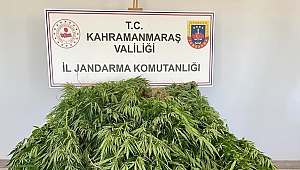 Afşin’de uyuşturucu operasyonu: 1 gözaltı