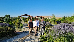 Afşin’in Mor Bereketi