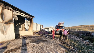 Kahramanmaraş’ta Yangında 60 Bin Tavuk Telef Oldu