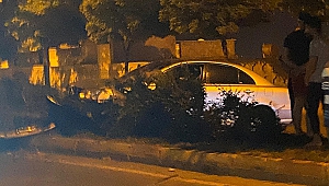 Kahramanmaraş’ta Yola Fırlayan Köpek Kazaya Neden Oldu