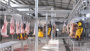 Onikişubat’taki kurbanlık satış ve kesim yerleri belli oldu