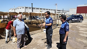 Zabıta Ekiplerinden Kurban Satış Yerlerinde Denetim