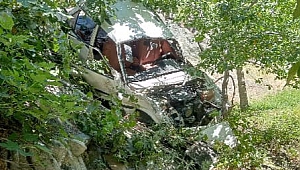 Kahramanmaraş’ta Otomobil Ağaca Çarptı: 4 Yaralı