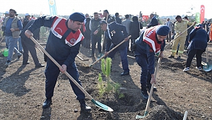 Kahramanmaraş’ta 10 Bin Fidan Toprakla Buluştu