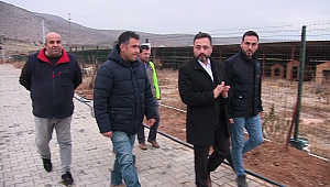 Ruhsatı Alınan Barınakta, 200 Köpek Kısırlaştırıldı