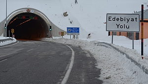 Kahramanmaraş'ta Kar ve Sis Etkili Oldu