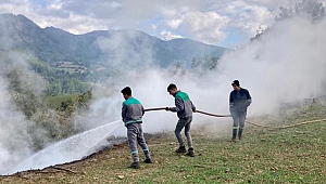 Kahramanmaraş’ta Ormanı Yaktı Tutuklandı