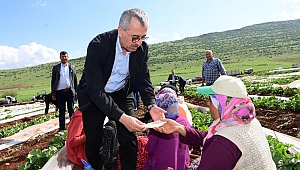 Tüm Sektörlerimizi Ayağa Kaldırıyoruz