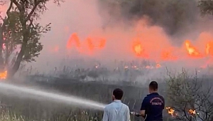 Kahramanmaraş’ta izmarit yangını korkuttu