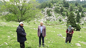 Kahramanmaraş'ta yıldırım düşmesi sonucu 14 keçi telef oldu