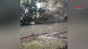 Kahramanmaraş’a tatil için geldi serinlemek için girdiği suda hayatını kaybetti