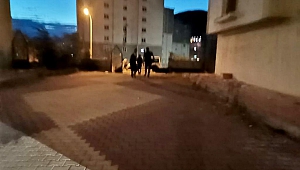 Kahramanmaraş'ta ellerinde sopalarla hırsızı kovaladılar