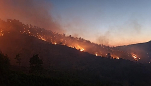 Kahramanmaraş’ta Orman Yangınına Müdahale Sürüyor