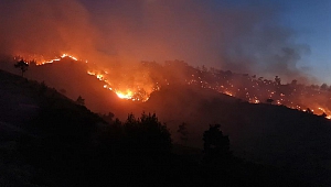 Kahramanmaraş'taki Orman Yangını Söndürüldü