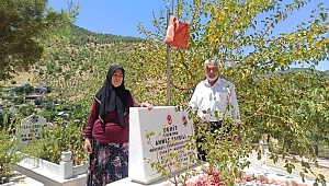 Şehit Ailesinin Köprü İsteği