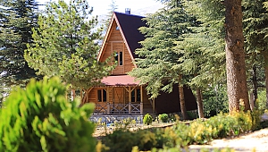 Yalnız Ardıç Bungalov Evlerde Rezervasyonlar Başladı