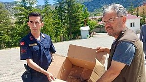 Yaralı kerkenez yavrusuna jandarma sahip çıktı