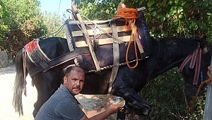 Baba Mesleği Olan Nalbantlığı Yaşatmaya Çalışıyor
