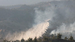 Kahramanmaraş'ta Orman Yangını Kontrol Altına Alındı