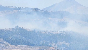 Kahramanmaraş'ta Orman Yangını