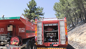 Kahramanmaraş’taki Orman Yangını Kontrol Altına Alındı