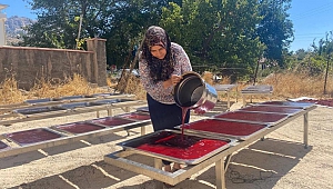 Kahramanmaraşlı Girişimci Kadın Tescilli Sumak Ekşisi Üretiyor