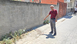Muhtarın Üvey Oğlu Bıçakla Öldürüldü