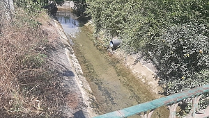 Serinlemek İçin Sulama Kanalına Girdiler: 3 Gençten 1'i Boğuldu, 1'i Kurtarıldı, 1'i Kayıp