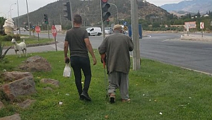 Büyükşehir’den Duygu Sömürüsüne Sıkı Denetim
