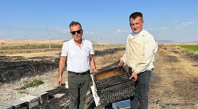 Kahramanmaraş'ta 150 Arı Kovanı Yandı
