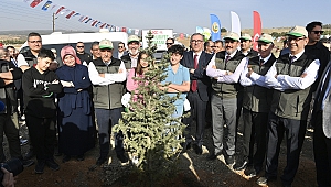 Milli Ağaçlandırma Günü’nde Binlerce Fidan Toprakla Buluşturuldu
