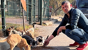 'Enkaz' İsimli Kedileri Enkaz Bölgesinde Besliyor