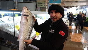 Kahramanmaraş Balık Pazarı Taşınıyor